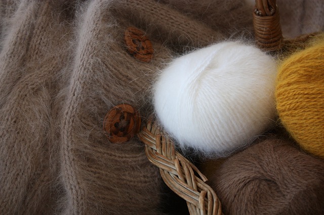 Les mites des vêtements raffollent des pulls en laine ou angora