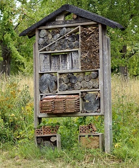 Un hotel pour les abeilles solitaires