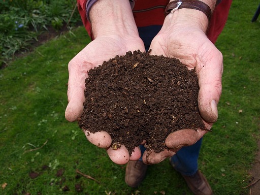 Le vermicompost permet de structurer le sol de votre jardin