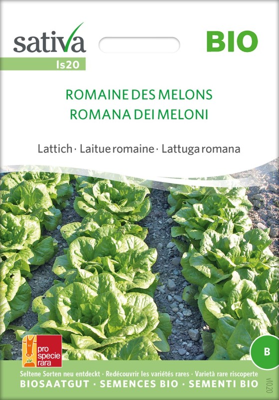Laitue Romaine des Melons bio