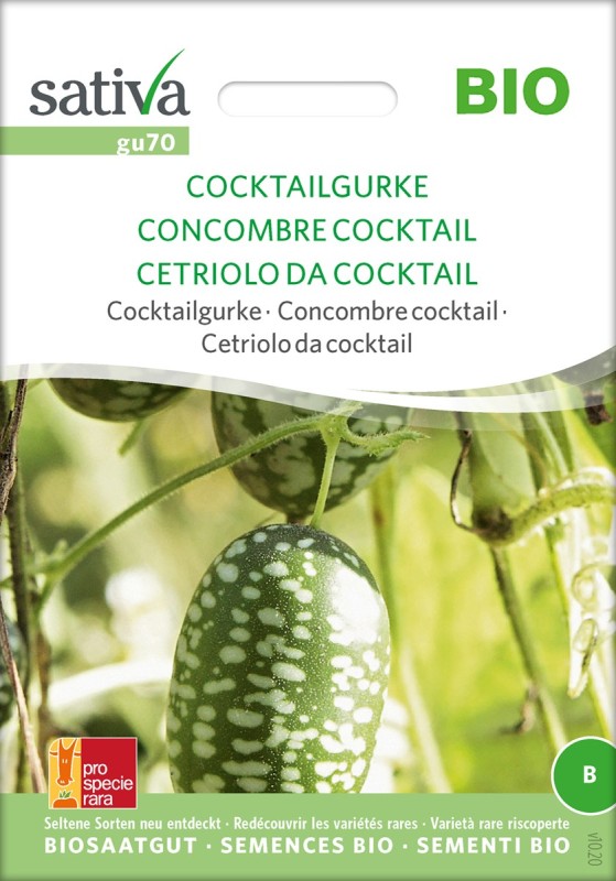 Concombre cocktail bio