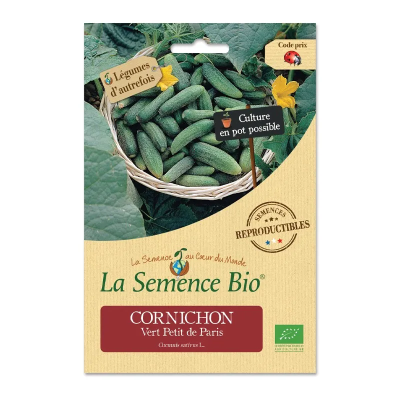 Cornichon vert petit de Paris