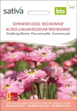 Acroclinium roseum 'Red bonnie' Bio