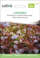 Feuille de chêne rouge Cantarix bio