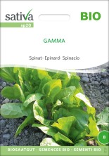Epinard Gamma bio