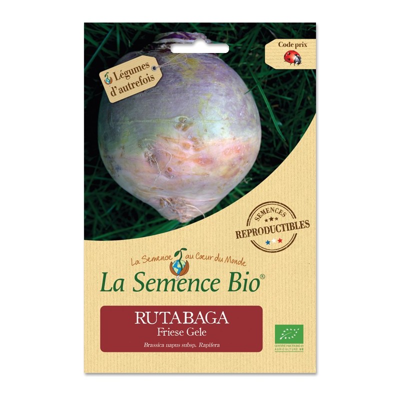 Rutabaga Friese Gele bio