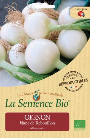 Oignon Blanc de Rebouillon bio