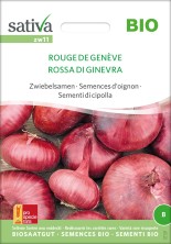 Graines reproductible d'oignon rouge de Genève bio