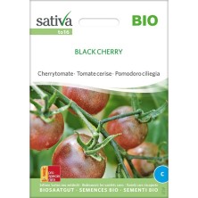 Tomate cerise : graines reproductibles bio