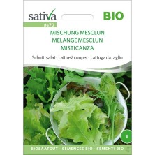 Mesclun en mélange bio : graines reproductibles