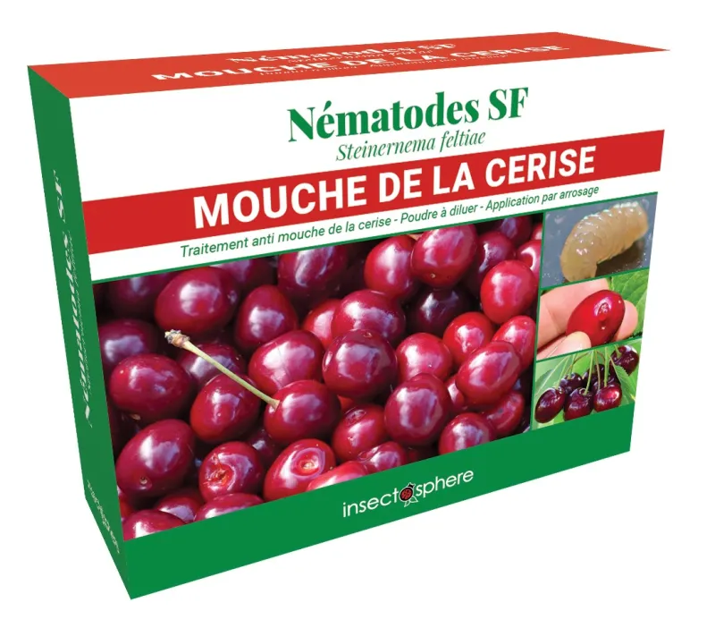 Nématodes contre le ver de la cerise. Traitement bio contre le ver de la cerise avec les nématodes.