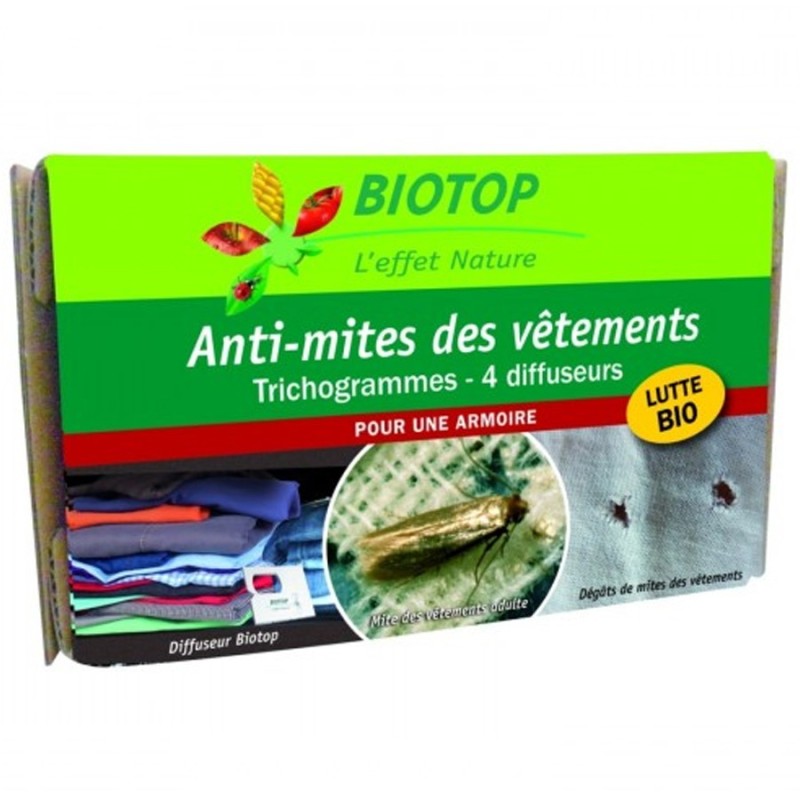 Trichogrammes anti-mites textiles