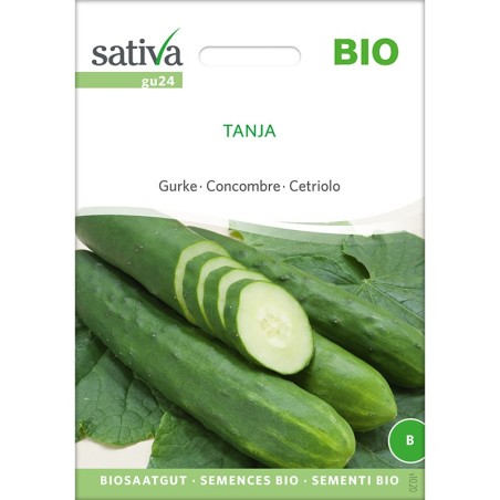 Concombre Tanja Bio : graines reproductibles