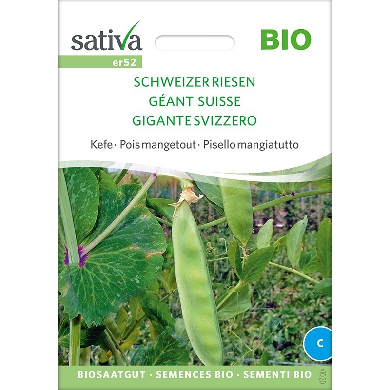 Semences bio et reproductible Pois mangetout, variété "Géant Suisse"