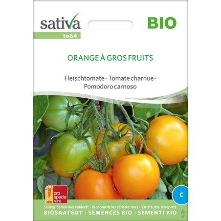 Graines bio et reproductibles de tomates oranges à gros fruits