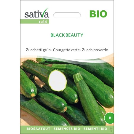 Semences de courgette bio et reproductibles, variété "Black Beauty"