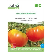Graines reproductibles et bio de tomate rouge variété "Marmande"