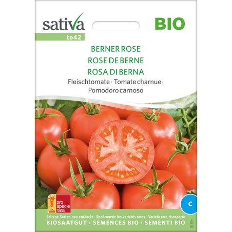 Tomate rose de Berne Bio : semence bio et reproductible