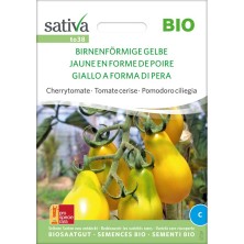 Graines reproductibles de tomates poires jaunes biologiques