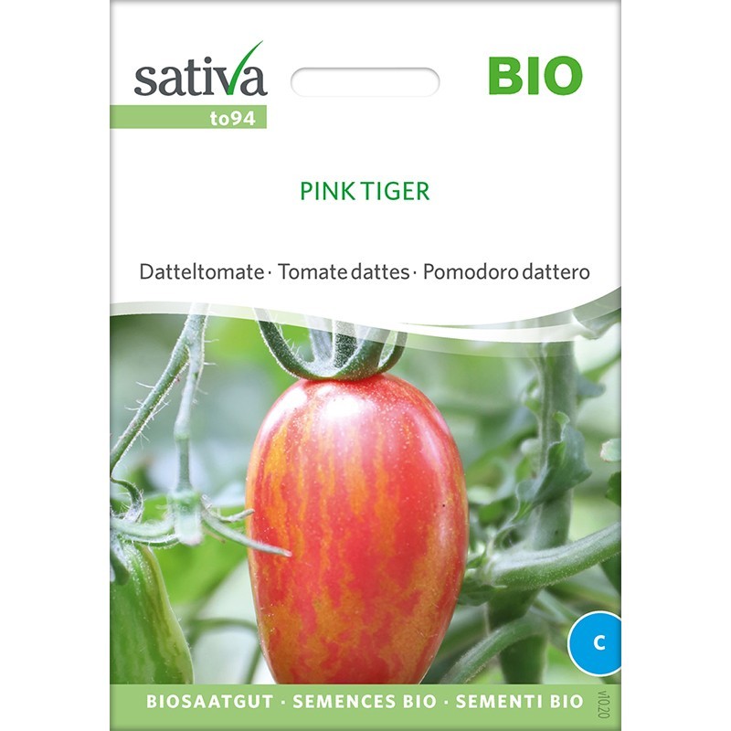 Tomate Pink Tiger bio ou tomate datte : graines bio et reproductible