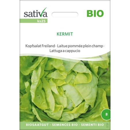 Graines reproductibles bio de laitue variété "kermit"