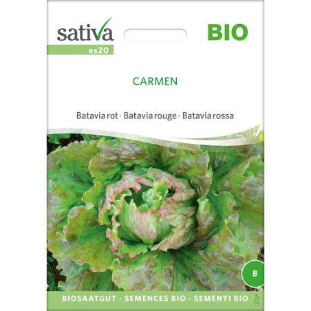 Graines reproductibles de Batavia "Carmen" bio