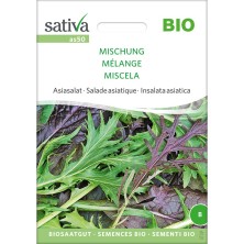 Moutardes / salades asiatiques : semences reproductibles bio