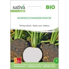 Semences reproductibles bio de Radis rave "Runder Schwarzer Winter"