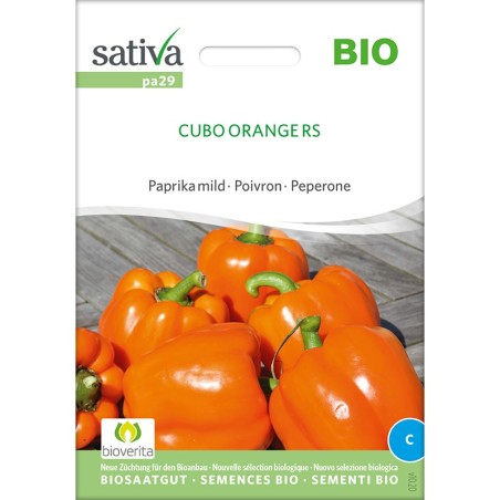 Graines bio et reproductibles de poivron variété "Cubo Orange RS"