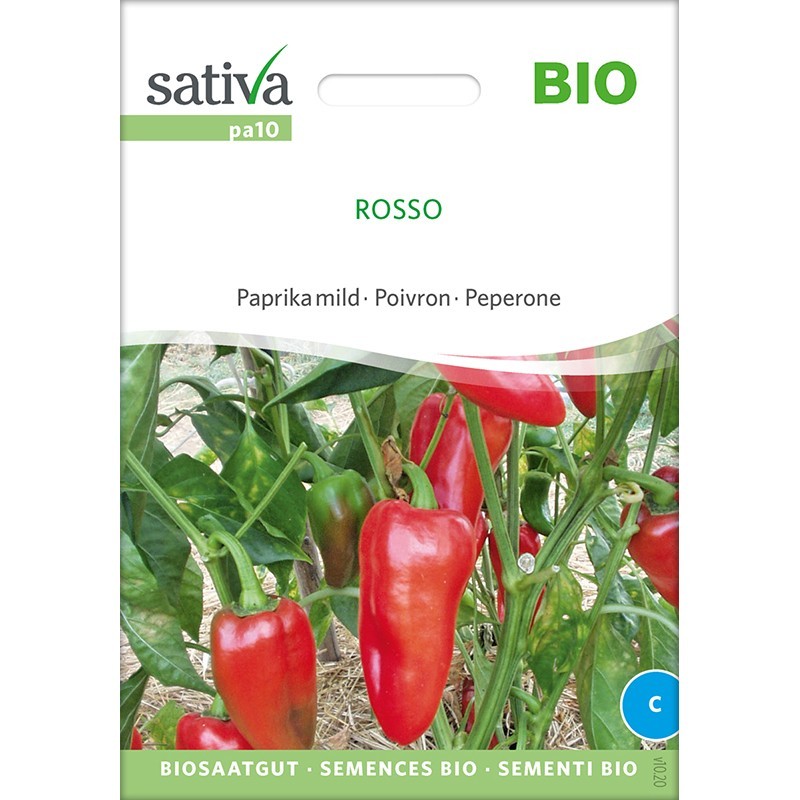 Poivron Rosso : semences reproductibles et biologiques