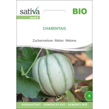 Semences biologiques et reproductibles de melon charentais