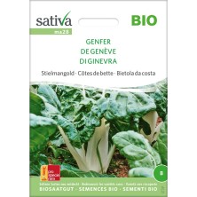 Côtes de bette De Genève : semences biologiques et reproductibles