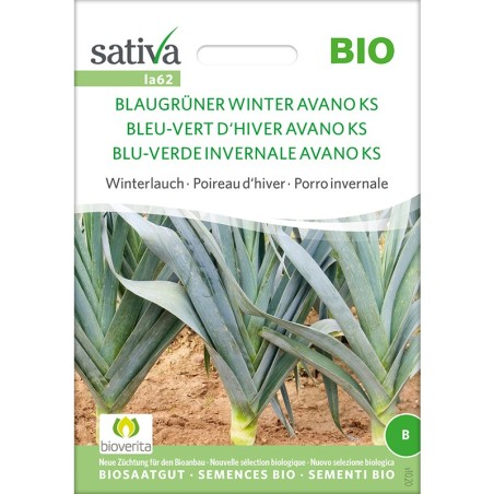 Graines bio et reproductibles de poireau Bleu-Vert d'Hive