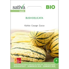 Graines bio et reproductibles de courge Bush Delicata (Cucurbita pepo)