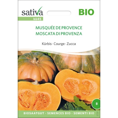 Courge musquée de Provence : semences reproductibles
