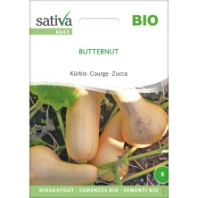 Courge Butternut : semences reproductibles, graines bio