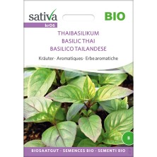 Basilic Thai : graines bio et reproductibles