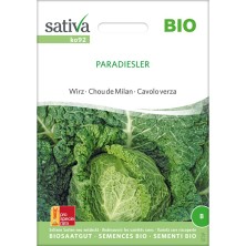 Graines reproductibles et bio de chou Paradiesler (Brassica oleracea convar. capitata)