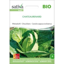 Chou cabus blanc Chateaurenard : semences bio et reproductibles