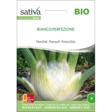 Fenouil Bianco Perfezione : semence reproductible bio