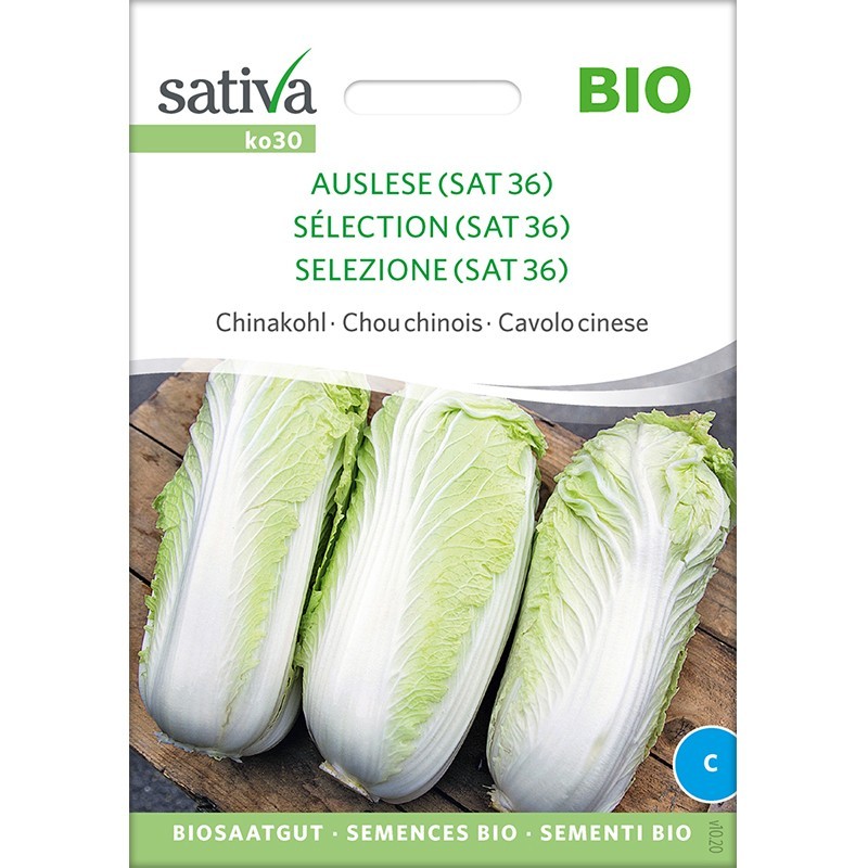 Chou chinois sélection Sativa bio