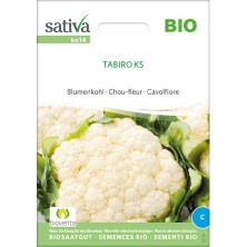 Chou-fleur Tabiro KS : graine reproductible et biologique