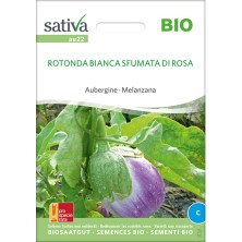 Variété ancienne d'aubergine, graines reproductibles, variété Rotonda Bianca Sfumata Di Rosa