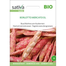 Graines d'haricot nain à écosser Borlotto Mercato OL Bio