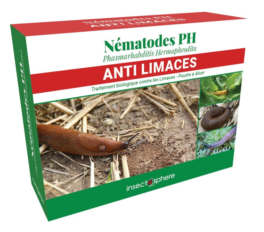 Nématodes anti limaces