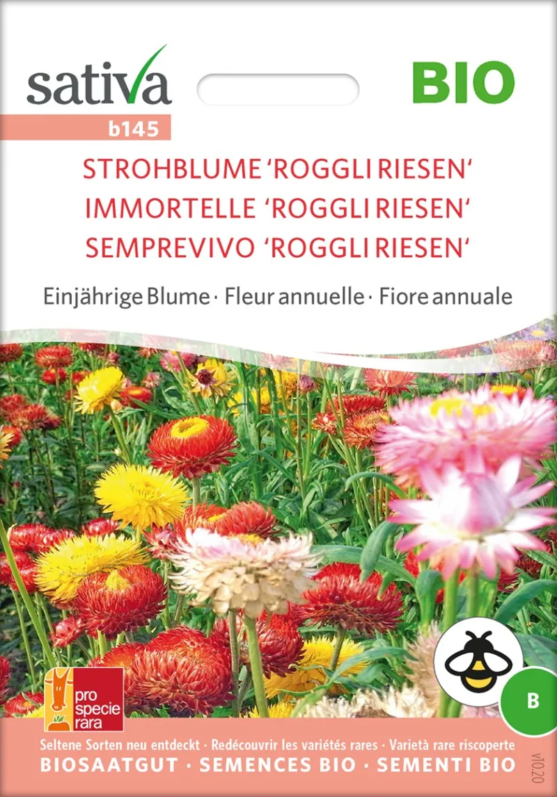 Dürr Samen Immortelle à Bractées, 1 Sachet - Suisse
