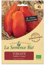 Tomate Cornue des Andes Bio