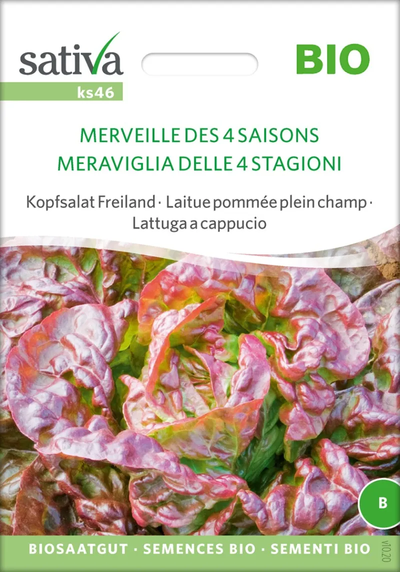 Graines De Laitue Merveille Des 4 Saisons - Bio Certifié ECOCERT - 3g
