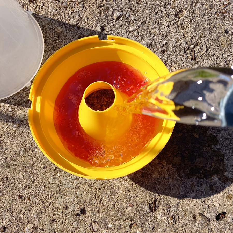 Piege A Guepes Et Frelons