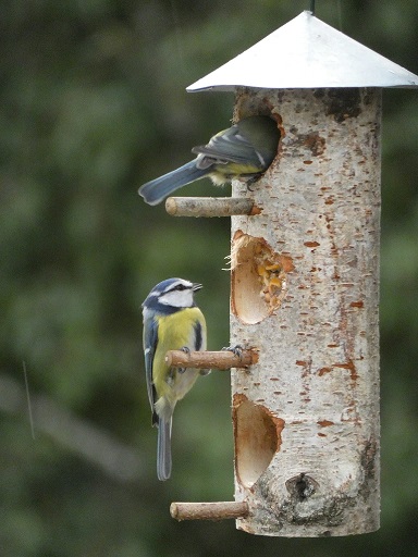 Mangeoire à graines pour les oiseaux du jardin